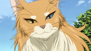 The Ancient Magus' Bride 1. évad Ep.4 4. epizód