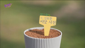 유 퀴즈 온 더 블럭 1. évad Ep.111 111. epizód