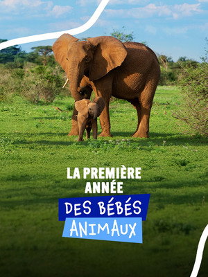 Animal Babies: First Year On Earth poszter
