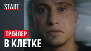 В клетке kép