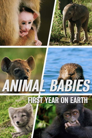 Animal Babies: First Year On Earth 1. évad (2019-07-24) poszter