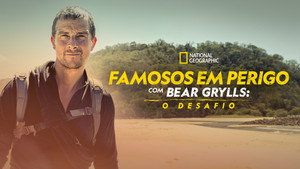 Bear Grylls - Sztárok a vadonban: A kihívás kép