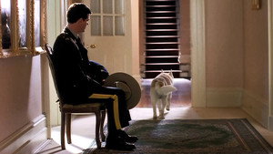 Due South 2. évad Ep.9 9. epizód