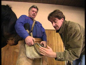 C'est pas sorcier 1. évad Ep.139 139. epizód