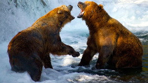 Vad Yellowstone kép
