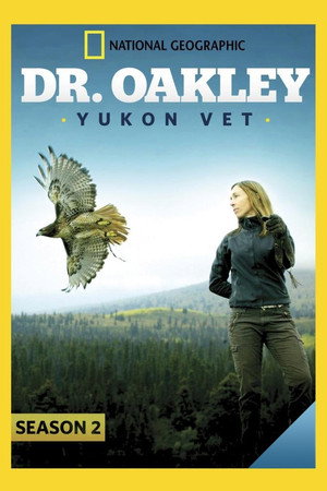 Dr. Oakley házhoz megy 2. évad (2014-11-01) poszter
