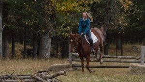 Heartland 14. évad Ep.10 10. epizód