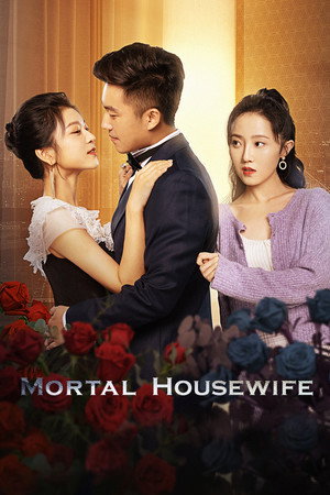 致命主妇 poszter