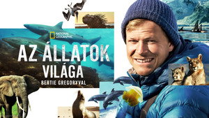 Az állatok világa Bertie Gregoryval kép
