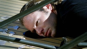 CSI: New York-i helyszínelők 6. évad Ep.8 Kakukkfészek