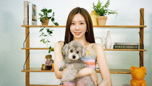 탱나무숲 kép
