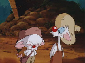 Pinky and the Brain 4. évad Ep.7 7. epizód