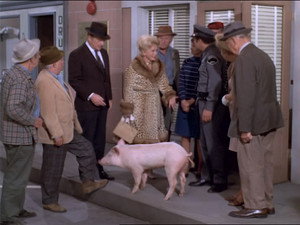 Green Acres 6. évad Ep.18 18. epizód