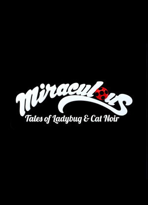 Miraculous Katicabogár és Fekete Macska kalandjai poszter