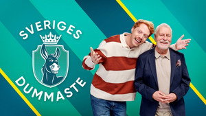 Sveriges dummaste kép