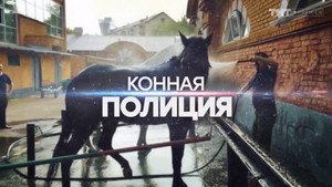 Конная полиция 1. évad Ep.5 5. epizód