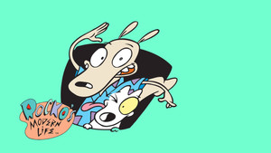 Rocko kép