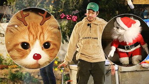 삼시세끼 어촌편 3. évad Ep.11 11. epizód