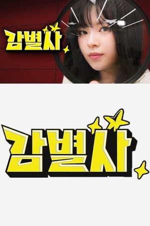 감별사 poszter