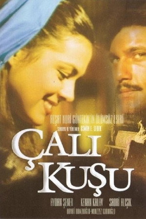 Çalıkuşu 1. évad (1986-04-20) poszter
