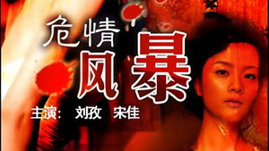 危情风暴 kép