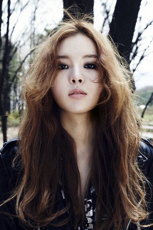 림킴 profil kép