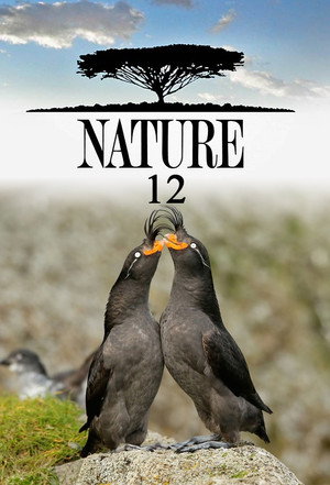 Nature 12. évad (1993-10-03) poszter