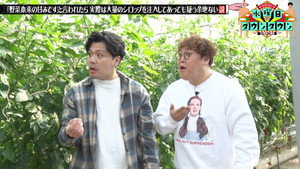 水曜日のダウンタウン 12. évad Ep.12 12. epizód