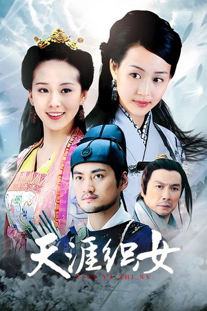 天涯织女 1. évad (2010-08-14) poszter