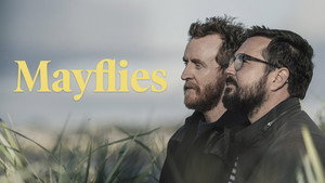 Mayflies kép
