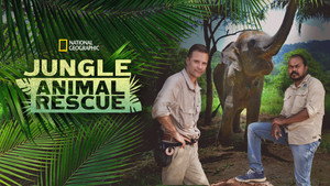 Jungle Animal Rescue kép