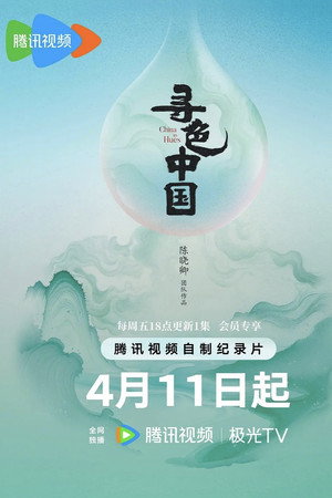 寻色中国 poszter