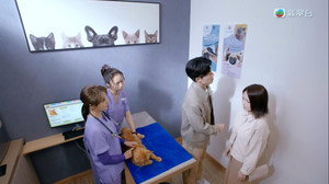 寵愛 Pet Pet 1. évad Ep.4 4. epizód