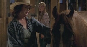 Heartland 4. évad Ep.5 5. epizód