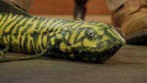 Andy's Dinosaur Adventures 1. évad Ep.9 9. epizód