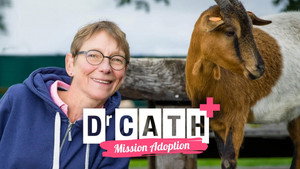 Dr Cath : Mission adoption 1. évad Ep.1 1. epizód