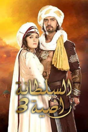 Razia Sultan poszter