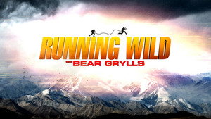 Bear Grylls: Sztárok a vadonban kép