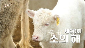 유 퀴즈 온 더 블럭 1. évad Ep.90 90. epizód