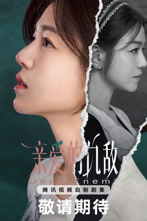 亲爱的仇敌 poszter