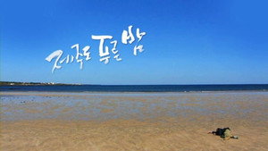 드라마 시티: 제주도 푸른밤 kép