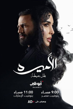 الأميرة: ظل حيطة poszter