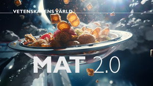 Vetenskapens värld 49. évad Ep.26 26. epizód