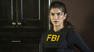FBI: New York különleges ügynökei 7. évad Ep.8 8. epizód