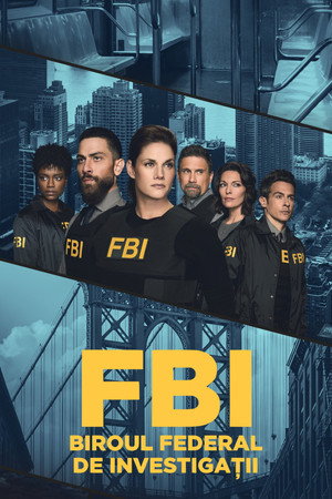 FBI: New York különleges ügynökei poszter