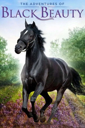 The Adventures of Black Beauty poszter