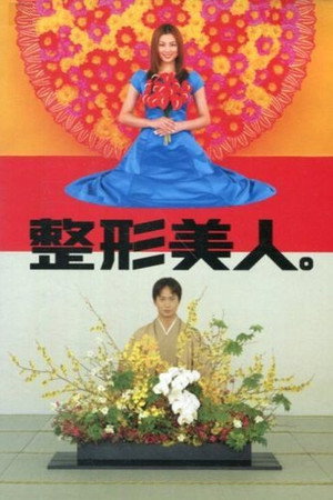 整形美人。 poszter