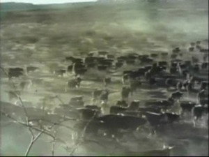 Gunsmoke 13. évad Ep.2 2. epizód