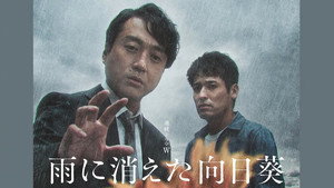 雨に消えた向日葵 kép