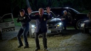 CSI: A helyszínelők 12. évad Ep.8 8. epizód